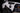 XB Evo Fog Lights: Type T (White / Set) 11