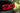 XB LED Tail Lights: Chevrolet Camaro 16-18 image 7