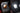XB LED License Plate Lights: Toyota Tacoma / Tundra (Set) 4