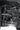 Vertex 2.5 Adjustable Coilovers Front 6" Toyota Tundra 4WD (2007-2021) tundra-vertex-front-install.jpg